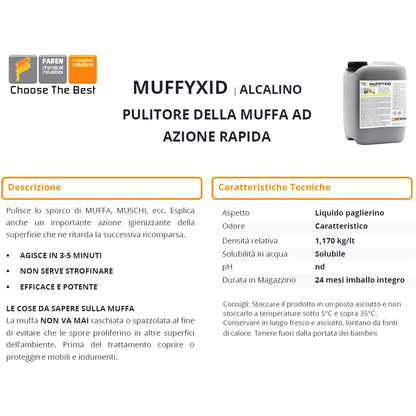 Applicazione Muffyxid Faren su muri con muffa, muschi e alghe per igienizzazione rapida di bagni, cantine e sottoscale