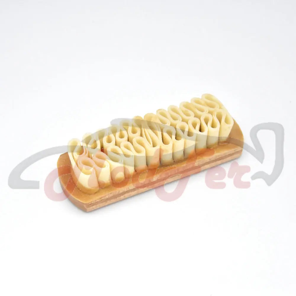 Spazzola in gomma per scarpe - MODFER