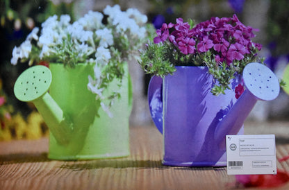 Tappeto Zerbino Ingresso Top - 40x60cm - MODFER